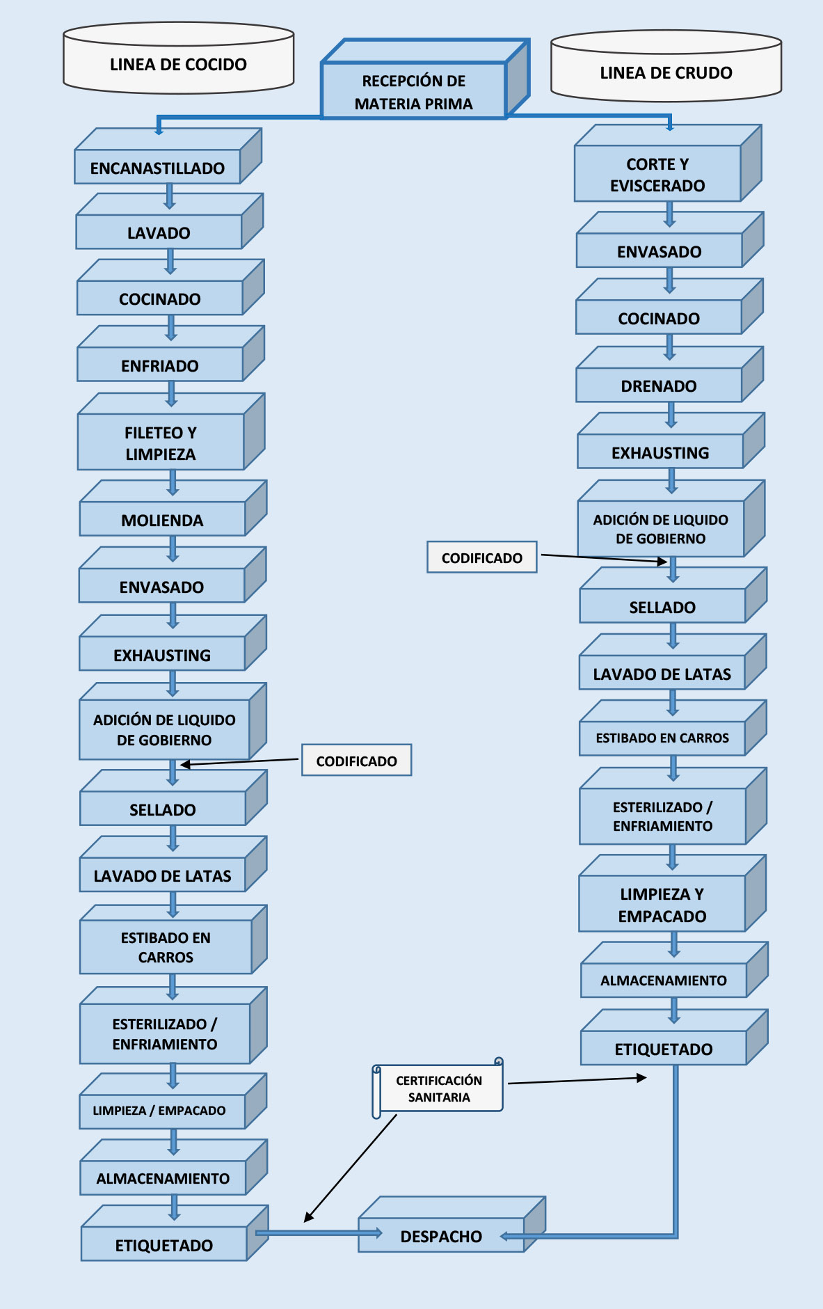 Organigrama