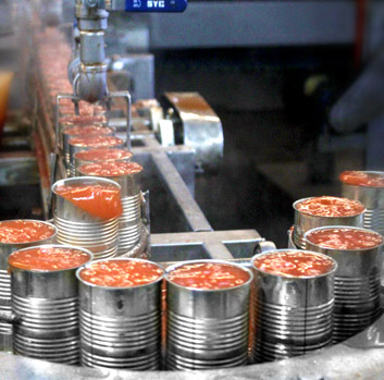 Línea de Crudo